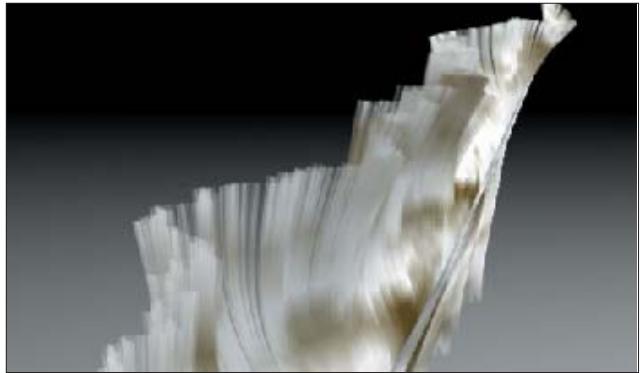 MAXON CINEMA 4D - Rayon de rachis - 5