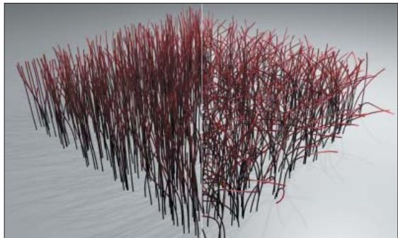 MAXON CINEMA 4D - Friser - 2