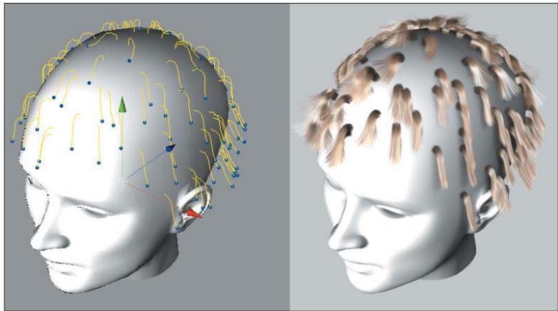MAXON CINEMA 4D - Niveaux - 1