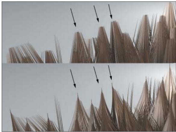 MAXON CINEMA 4D - Limite - 2