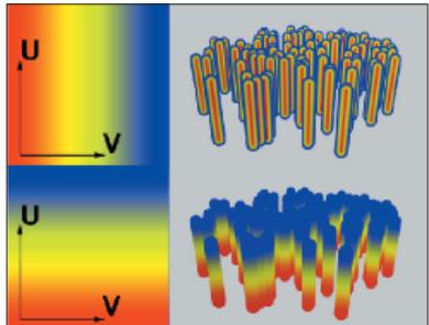 MAXON CINEMA 4D - Symétrique - 1