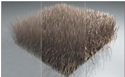 MAXON CINEMA 4D - Racine / pointe - 1