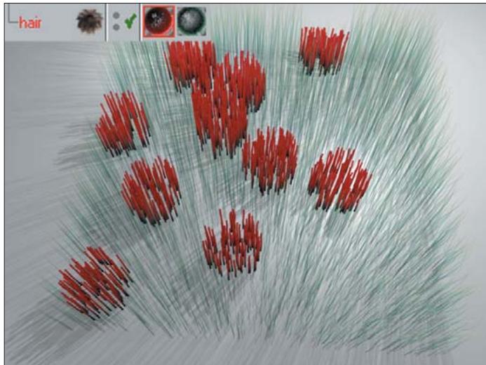 MAXON CINEMA 4D - Touffes - 1