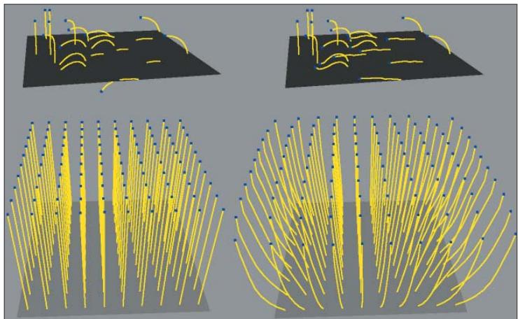 MAXON CINEMA 4D - Hauteur x/y - 7