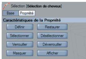 MAXON CINEMA 4D - Propriété sélection de cheveux - 2