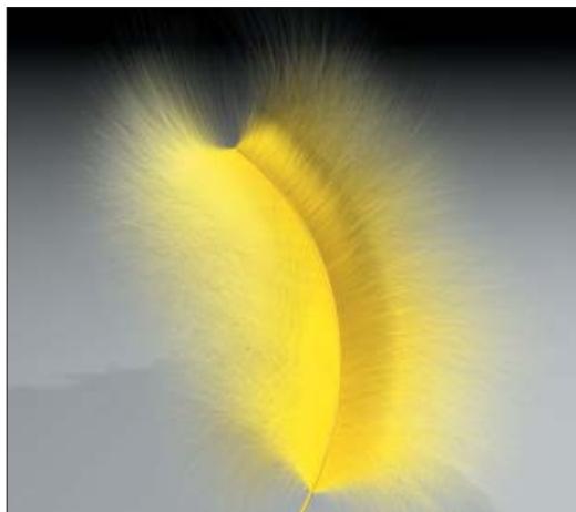 MAXON CINEMA 4D - Coupe transversale - 3