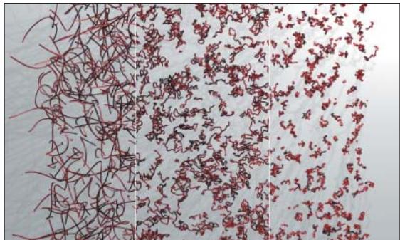 MAXON CINEMA 4D - Variation - 1