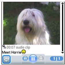 PALMONE CENTRO - Viewing/playing a multimedia message - 1