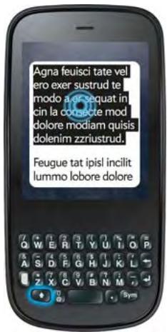 PALMONE PIXI PLUS - Text selection gestures - 4