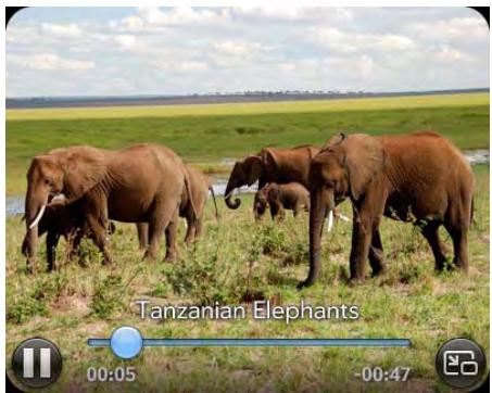 PALMONE PIXI PLUS - Use video playback controls - 1