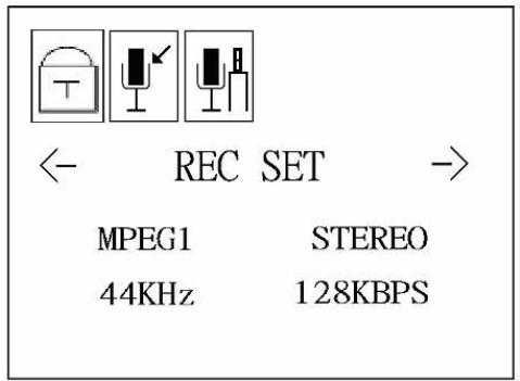 JOBO GIGA 3+ - Recording function - 2
