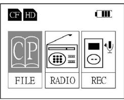 JOBO GIGA 3+ - Recording Function - 2