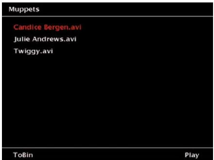 JOBO GIGA VU PRO EVOLUTION - Watching Movies - 2