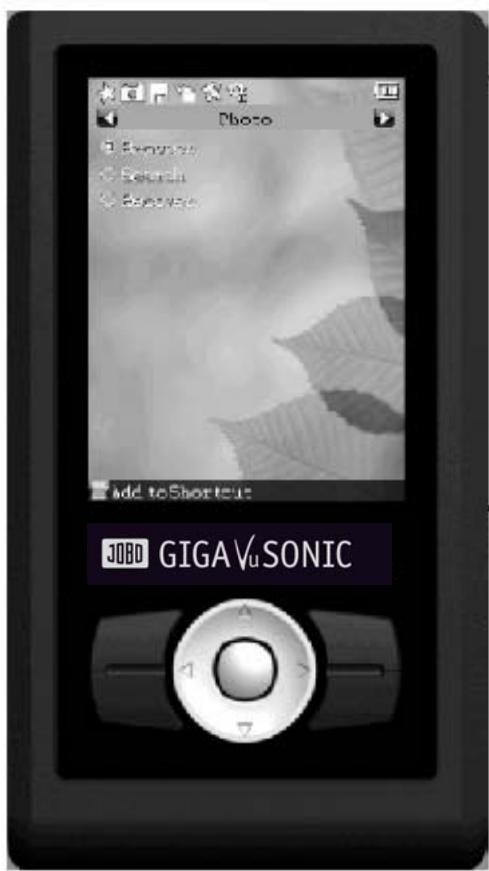 JOBO GIGA VU SONIC - Photo - 1