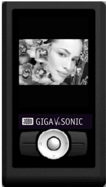 JOBO GIGA VU SONIC - Viewing pictures full screen: - 1
