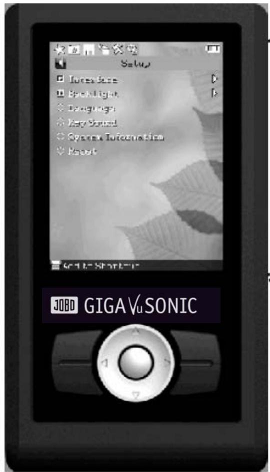 JOBO GIGA VU SONIC - Setup - 1