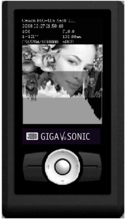 JOBO GIGA VU SONIC - Displaying EXIF brief: - 1