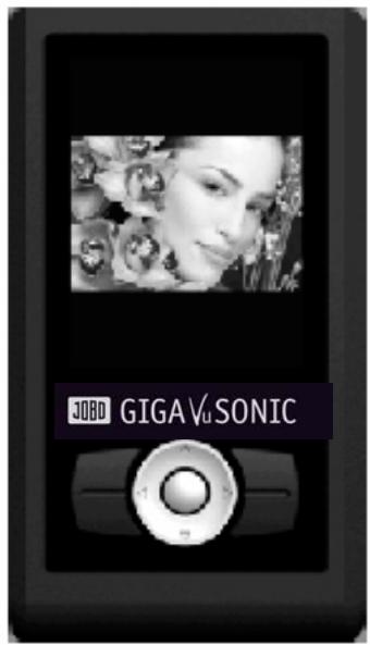 JOBO GIGA VU SONIC - Display control prompt: - 2