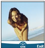 MITSUBISHI TELECOM M320 - Cropping - 1