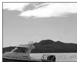 SIMRAD NX40 - Video window - 1