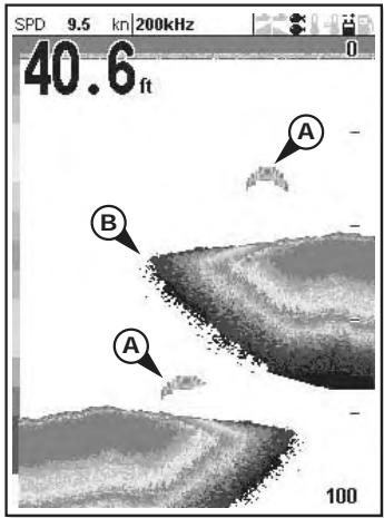 SIMRAD NX40 - When to use 50 kHz - 2