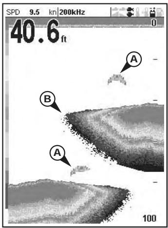 SIMRAD NX45 - When to use 50 kHz - 2