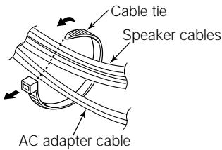 ECLIPSE 307PA - Speaker Cable Routing - 1