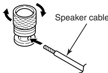 ECLIPSE A502 - Speaker output terminals - 1