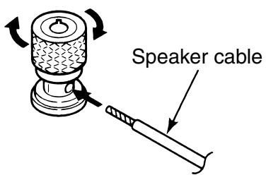 ECLIPSE 512 - Speaker Input Terminals - 1