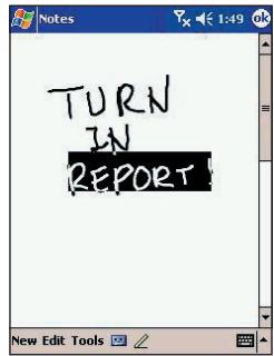 AUDIOVOX PPC-6600 - Selecting Writing - 2