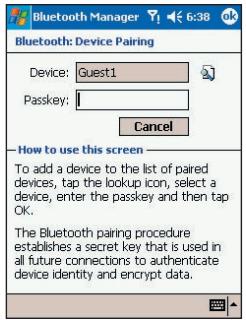 AUDIOVOX PPC-6600 - Bluetooth Connection Wizard - 1