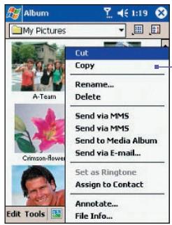 AUDIOVOX PPC-6600 - Making an annotation on your file: - 4