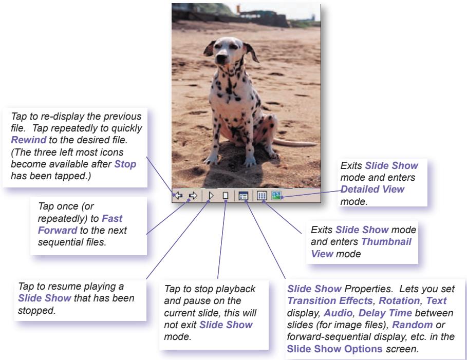 AUDIOVOX PPC-6600 - Slide Show View - 1