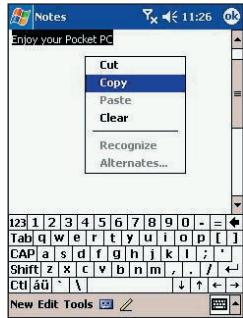 AUDIOVOX PPC-6600 - Editing/Selecting Text - 3