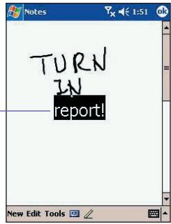 AUDIOVOX PPC-6600 - Converting writing to text - 3