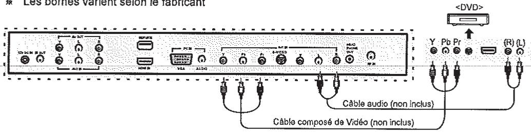 AUDIOVOX JE1909 - Raccordements de DVD - 1
