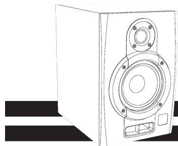 YORKVILLE YSM2P - Bi-amplification - 1