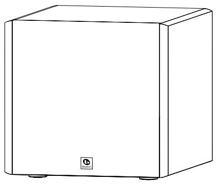 BOSTON ACOUSTICS CPS 10WI - Auspacken des Systems - 1