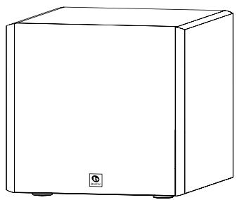 BOSTON ACOUSTICS CPS 10WI - For EU Customers Only - 1