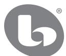 BOSTON ACOUSTICS TVEE 20 - Si une réparation semble nécessaire - 2