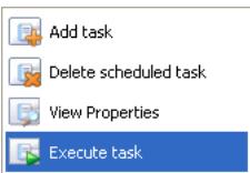 FARONICS DEEP FREEZE SERVER ENTERPRISE - Executing a Task Immediately - 1