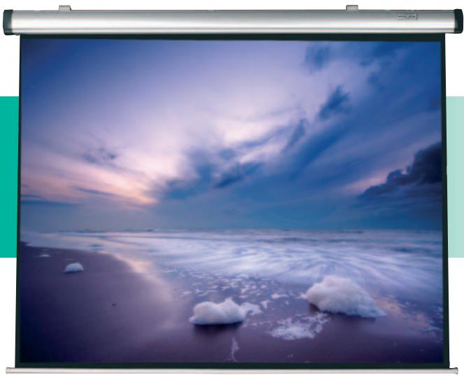 PROCOLOR DYNA SCREEN CLASSIC - 1