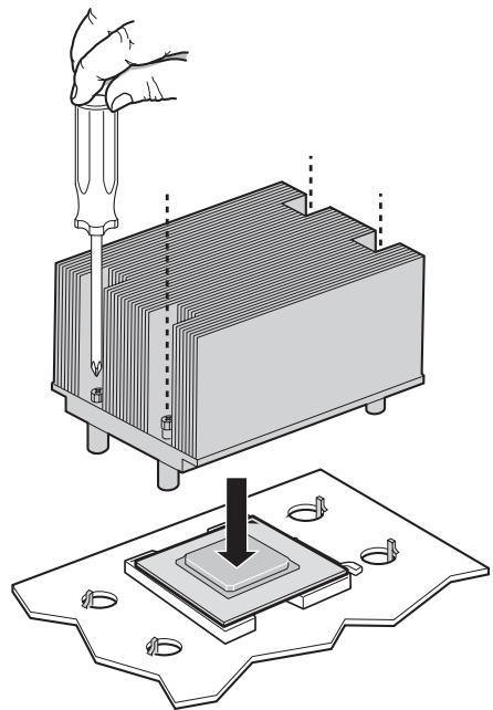 MAXDATA PLATINUM 1600 IR M1 - Installing the Heat Sink(s) - 1