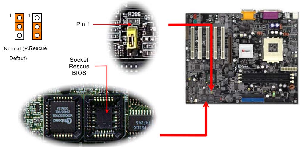 AOPEN AK73A - Fusible réinitialisable - 2