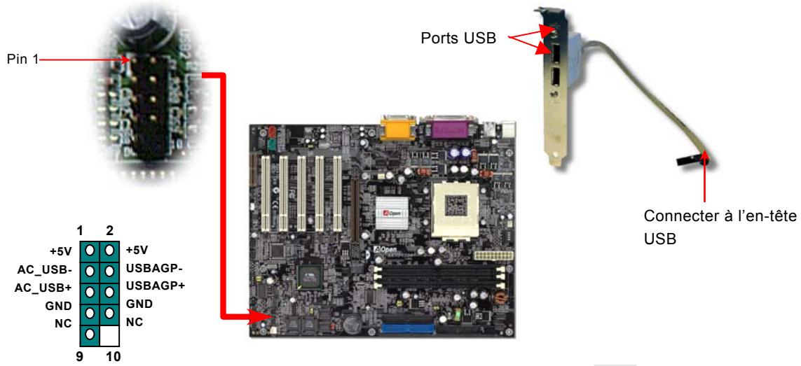 AOPEN AK73A - Supporter 2ÈME port USB - 1