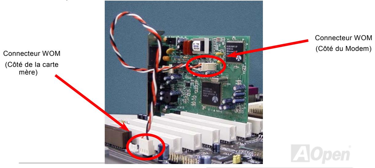 AOPEN AK73A - WOM par la carte interne de modem - 1