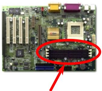 AOPEN AX34PRO - DIMM Socket - 1