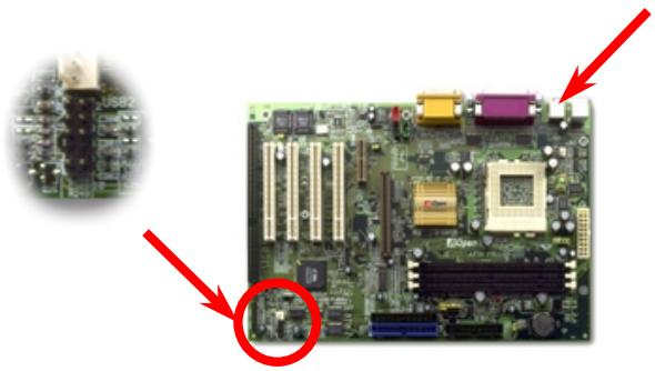 AOPEN AX34PRO - Support 4 USB Ports - 2