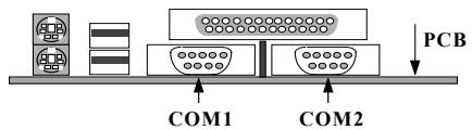 AOPEN AX59PRO - Serial Devices (COM1/COM2) - 2