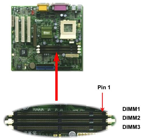 AOPEN MX33 - DIMM Socket - 1